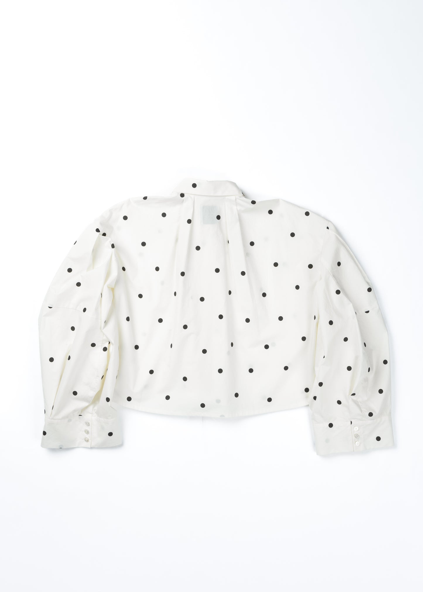 φ0.5inch dot Wide Sleeve Voluminous Blouse