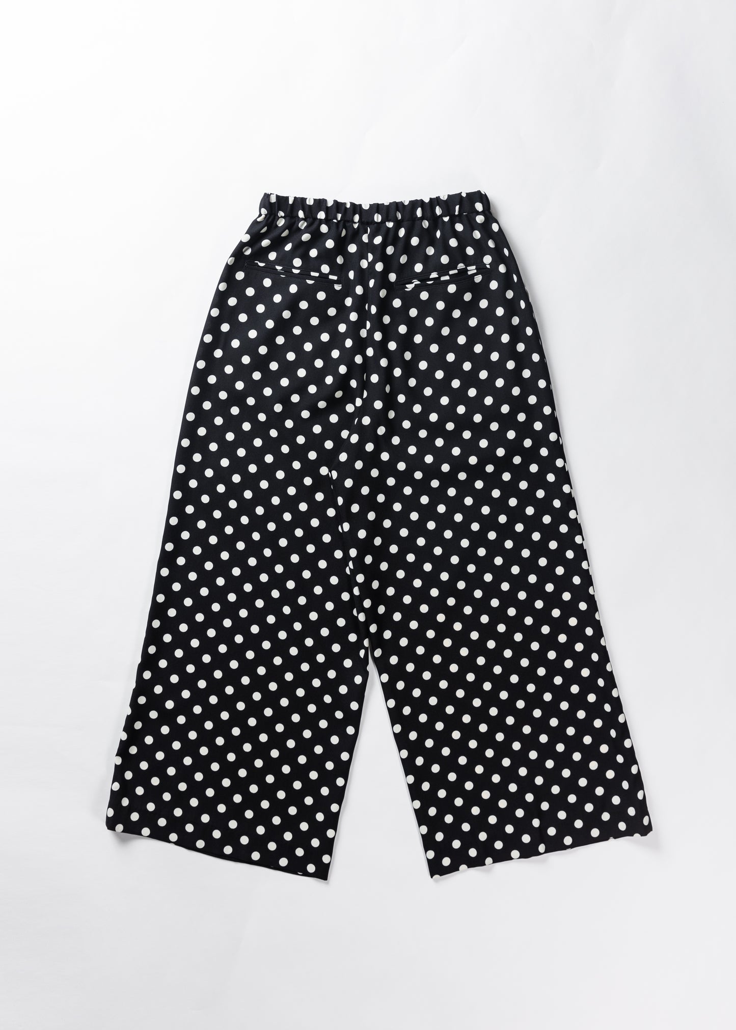 φ0.5 inch dots Wide Pants